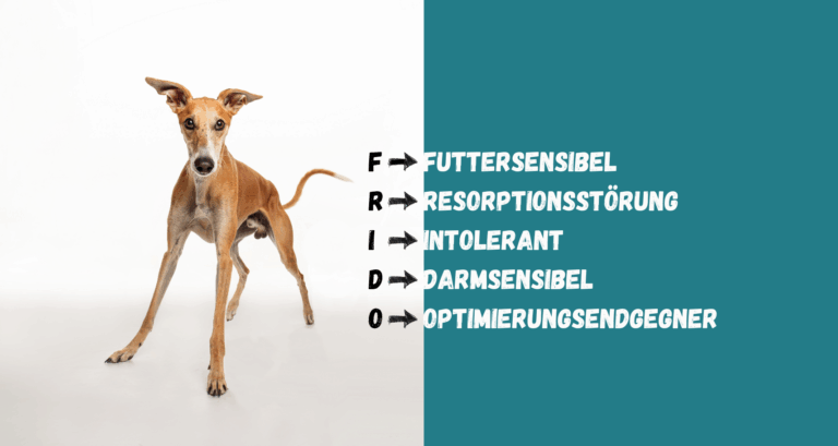 Frido – Ein Kör­per im Aus­nah­me­zu­stand